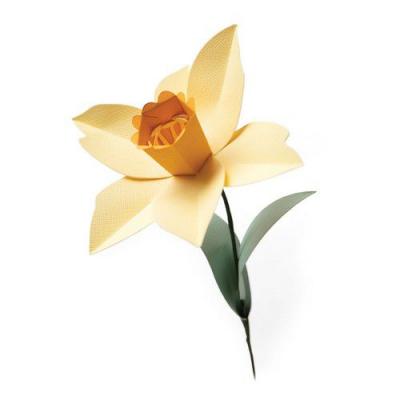 Sizzix BigZ Die - Daffodil